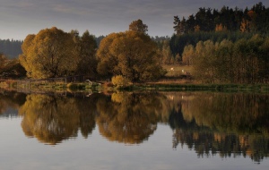 Podzim u Jadružského rybníka