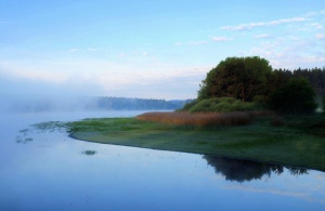 Mlhave ráno u Modrého rybníkuv 06.18hod