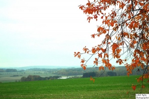 pohled na podzimní krajinu