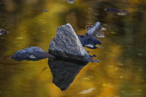Kámen v podzimním hávu
