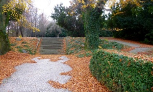 podzim v zámeckém parku