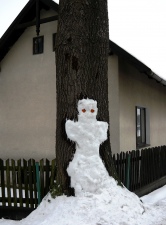 sněhulák na stromě