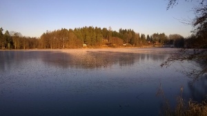 Mráz a slunce, rybník Velký Ostrý, Jižní Čechy 2018
