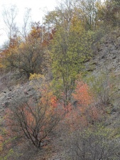 Podzim na únětických skalách