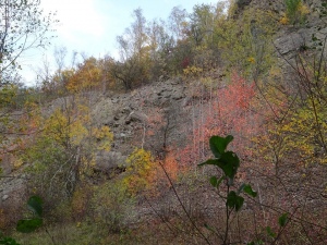 Podzim na únětických skalách II.