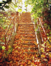 podzim na schodech