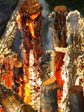 spálené dřevo