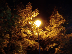 Podzimní barva noci