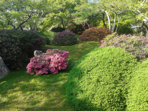 Jaro v Japonské zahradě