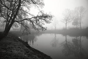 Oldřišovský rybník v mlze